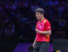 IM体育动画直播通道-中国乒乓球队翻盘日本乒乓球队，樊振东惊艳世界的简单介绍