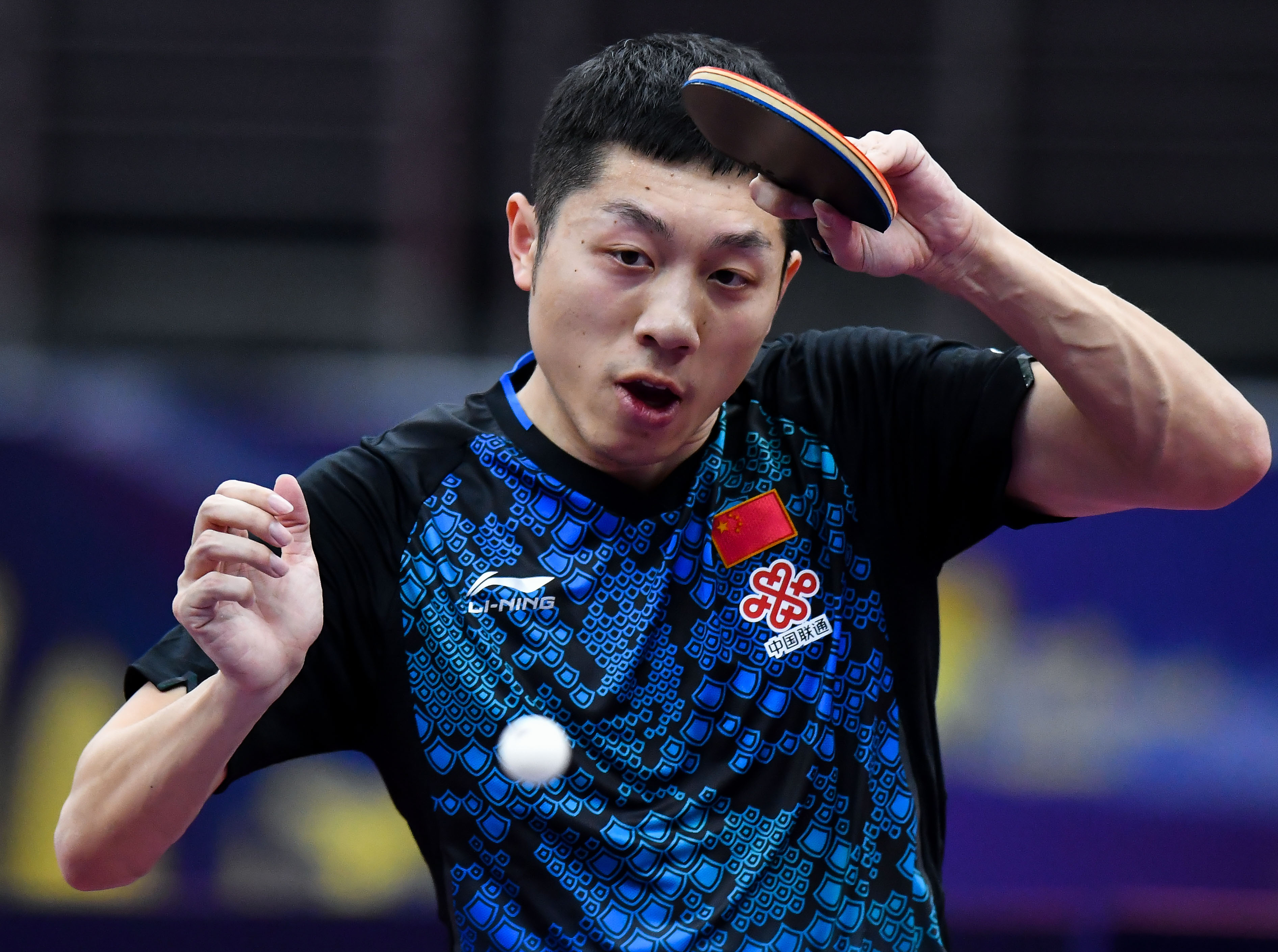 IM体育数据分析平台-奥地利乒乓球队力克比利时乒乓球队，许昕高光表现的简单介绍