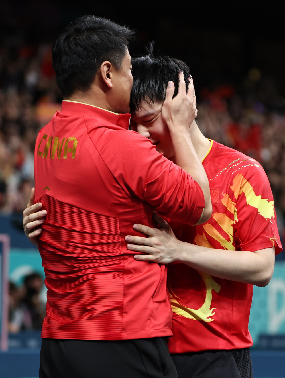 IM体育赛事直播入口-法国队轻取中国队,樊振东点燃赛场